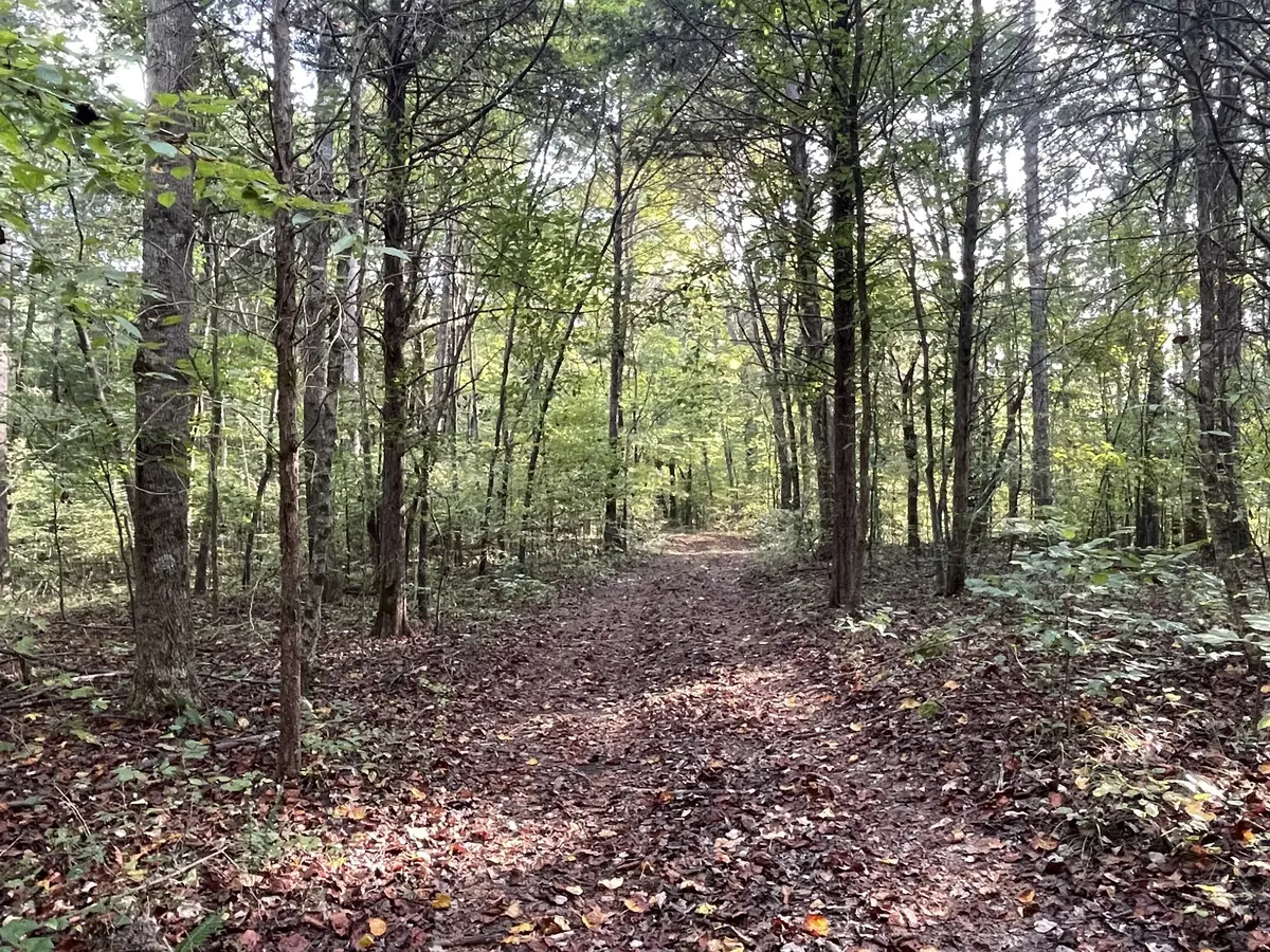 0 Waters Road, Centerville, TN 37033