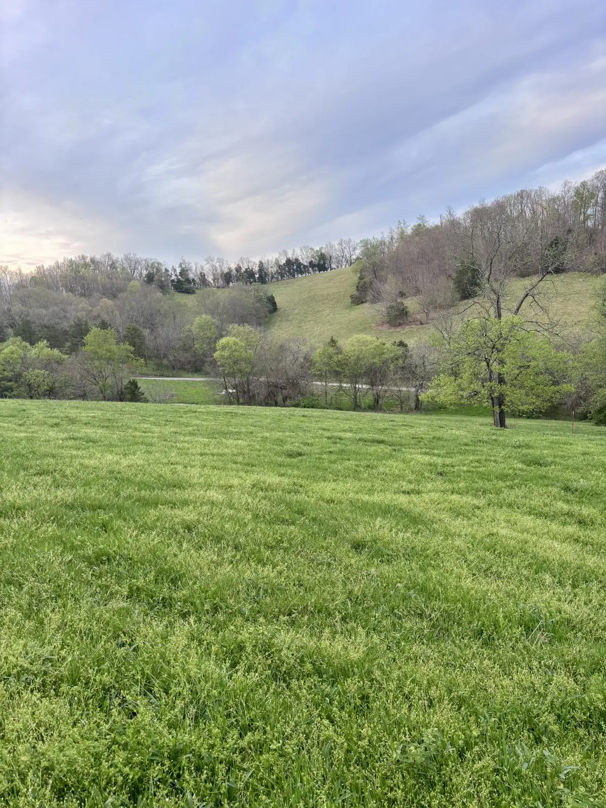 0 Short Road, Lewisburg, TN 37091