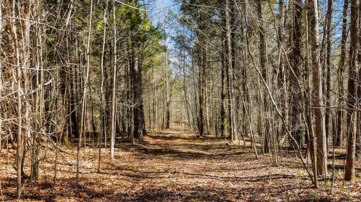 0 Fowler Rd, Beech Bluff, TN 38313