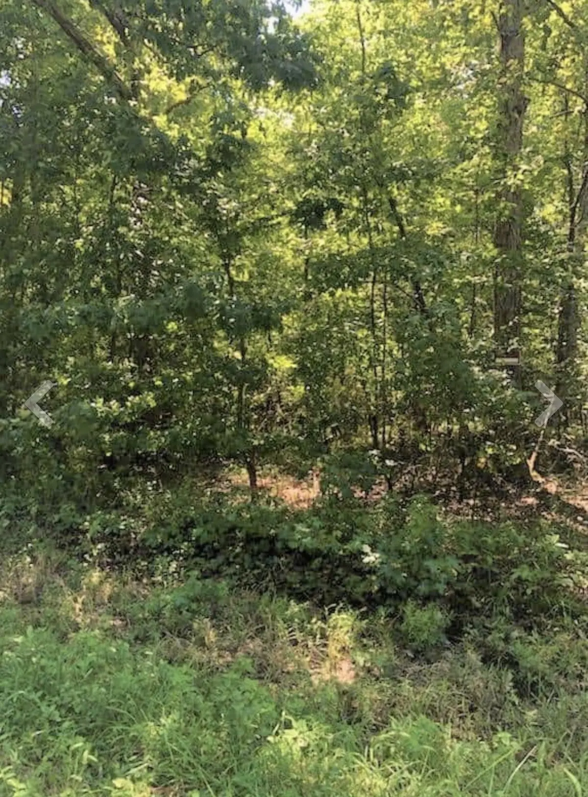0 Sunset Drive, Manchester, TN 37355