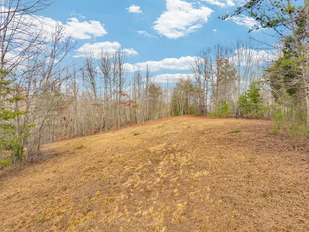 0 Soak Creek Ln, Grandview, TN 37337