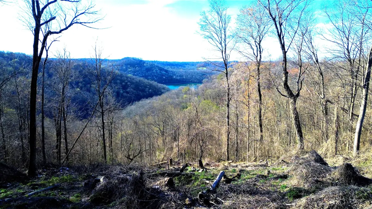 0 Lola Dr, Smithville, TN 37166
