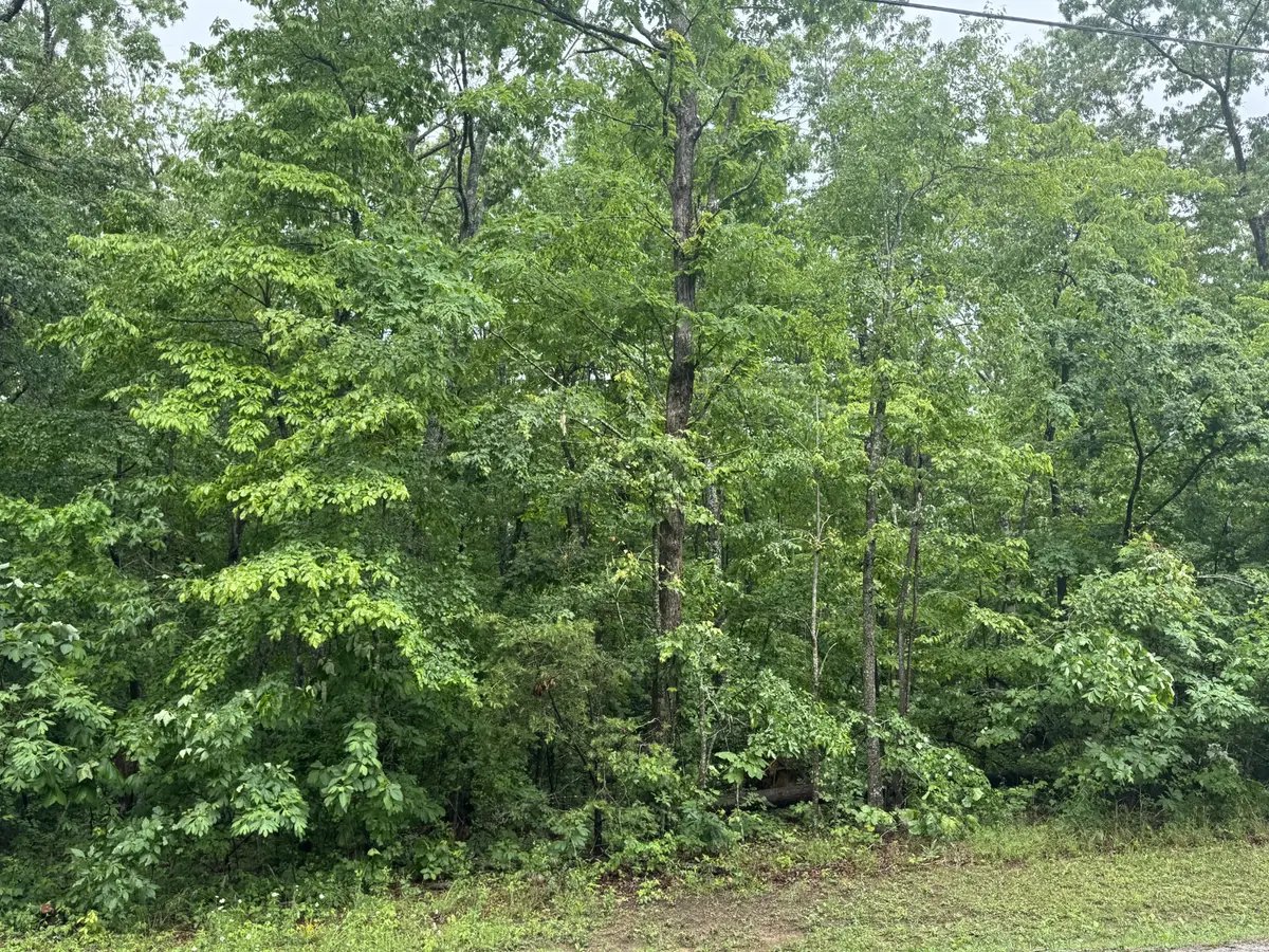 0 18th Avenue #S, Gruetli Laager, TN 37339