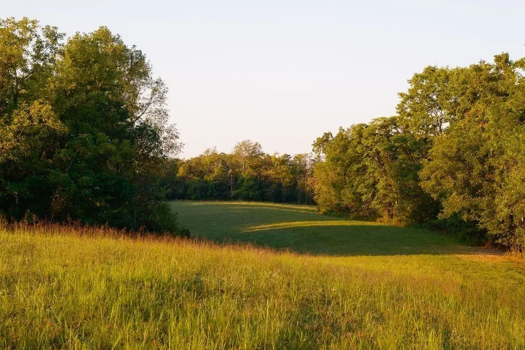 3685 Martin Ervin Rd, Santa Fe, TN 38482