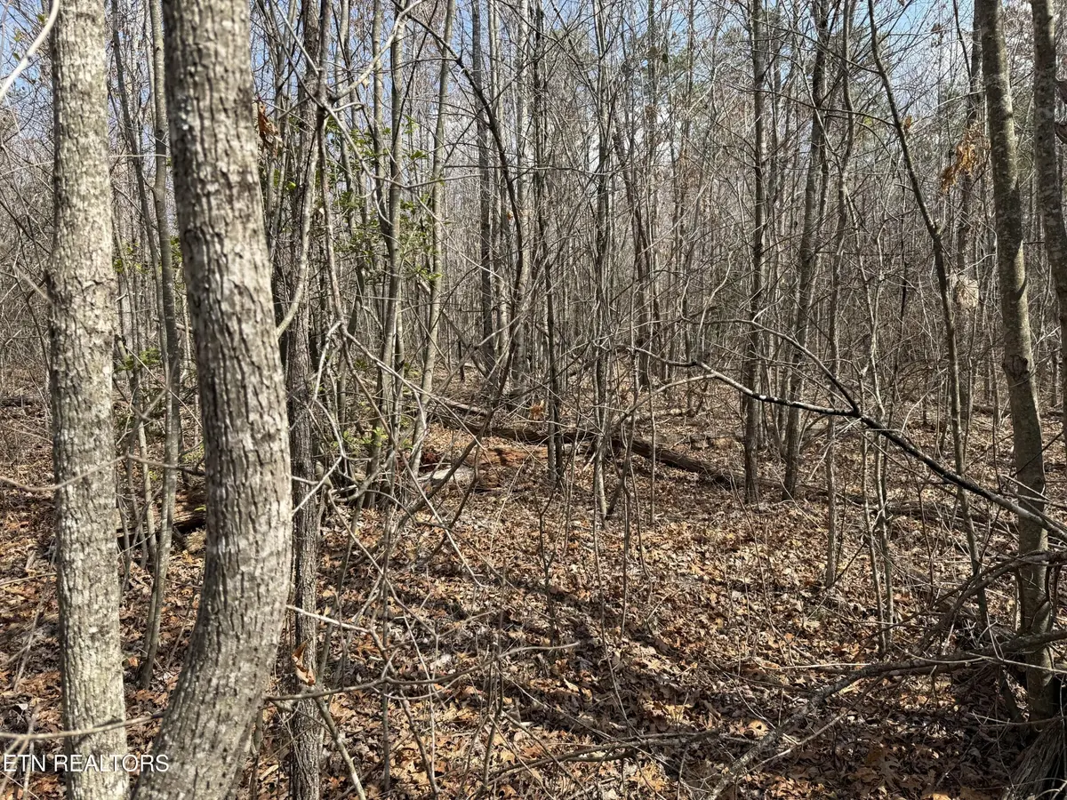 0 Cumberland Lakes Drive, Monterey, TN 38574