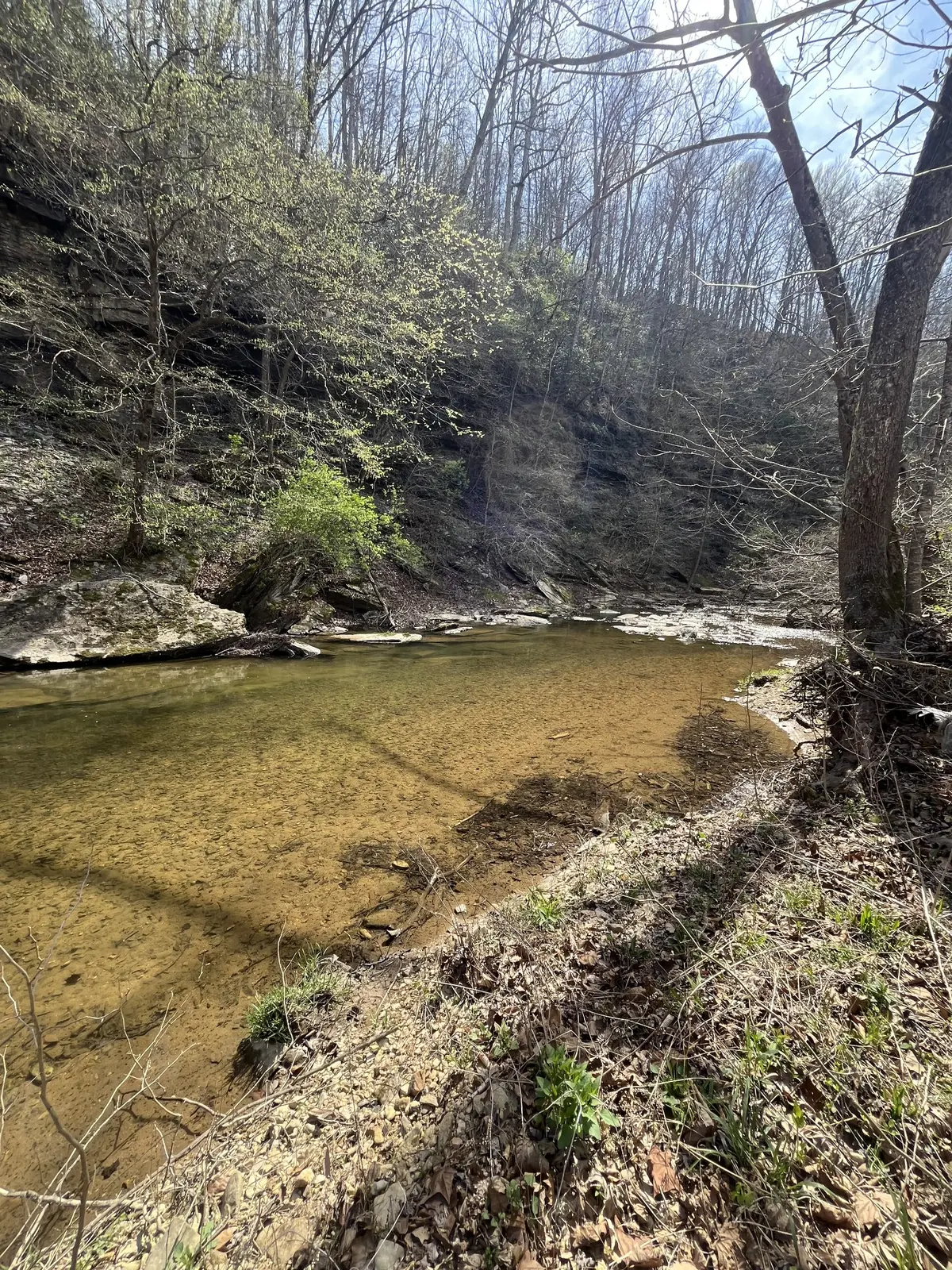 100 Henley Rd, Ashland City, TN 37015