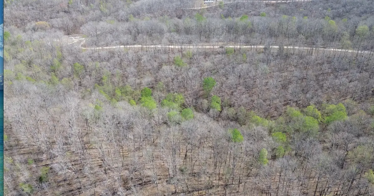 0 Owl Circle, Hurricane Mills, TN 37078