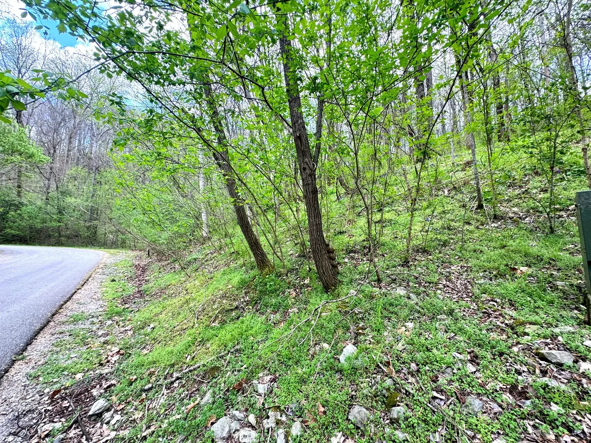 0 Lakeview Dr, Smithville, TN 37166