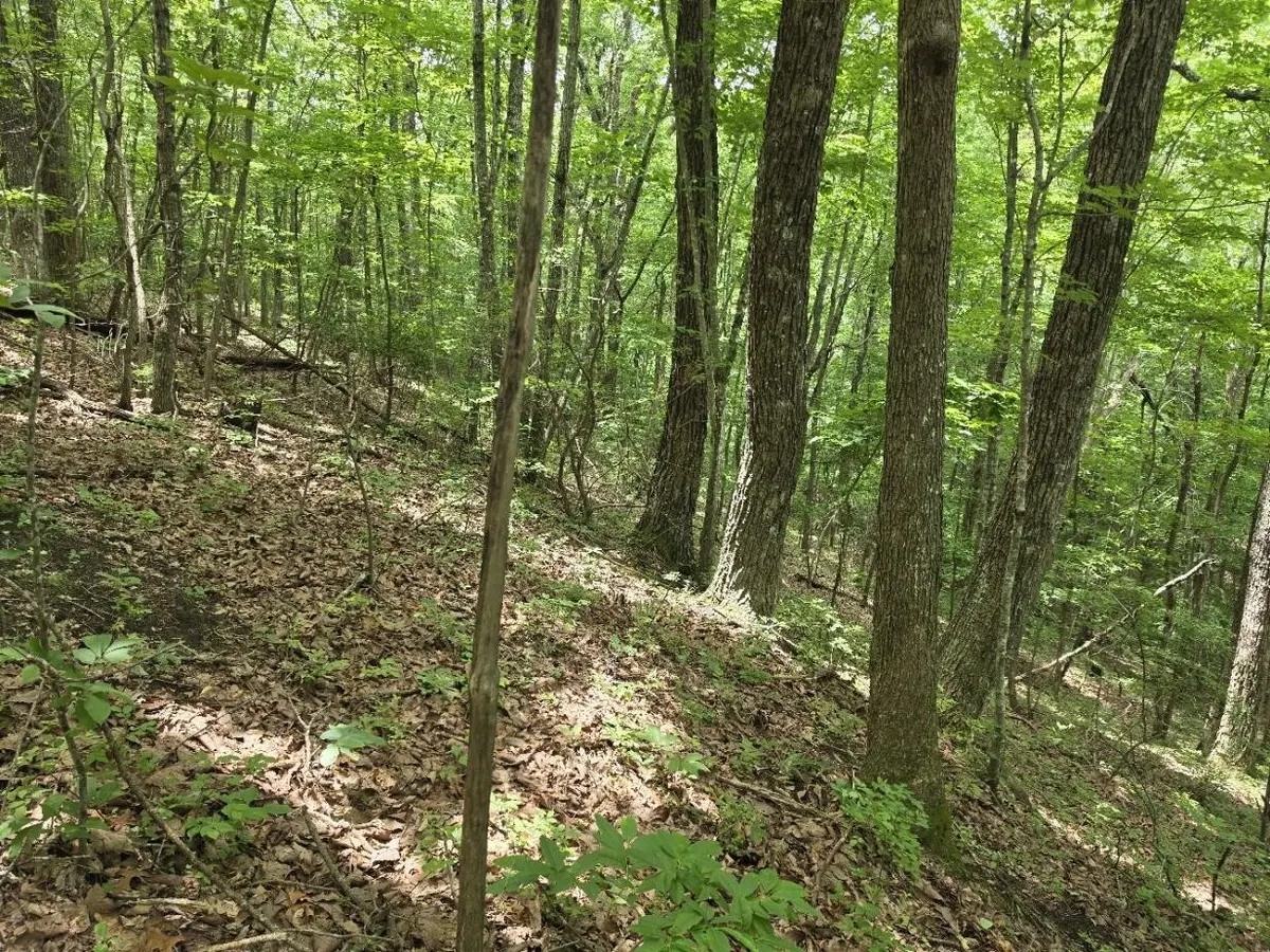 205 Poplar Bend, Jasper, TN 37347