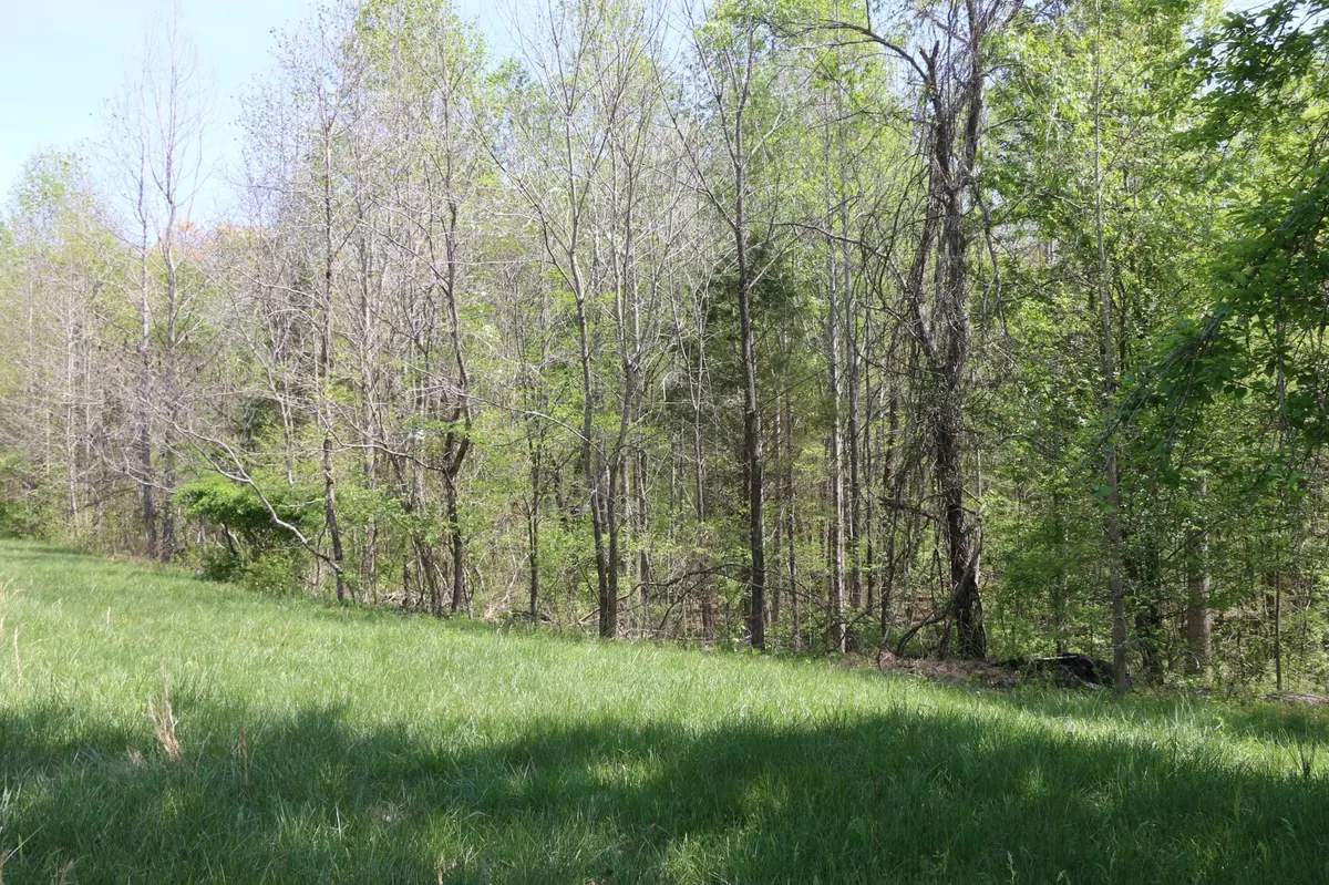 820 New Rd, Clarksville, TN 37040