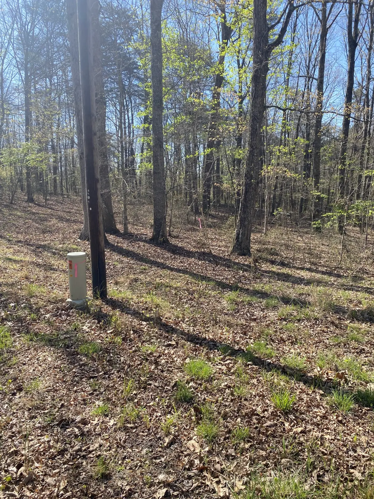 490 Haynes Rd, Sewanee, TN 37375