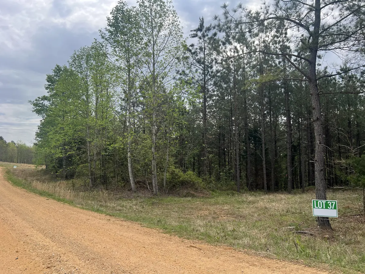 37 Pafford Lane, Erin, TN 37061