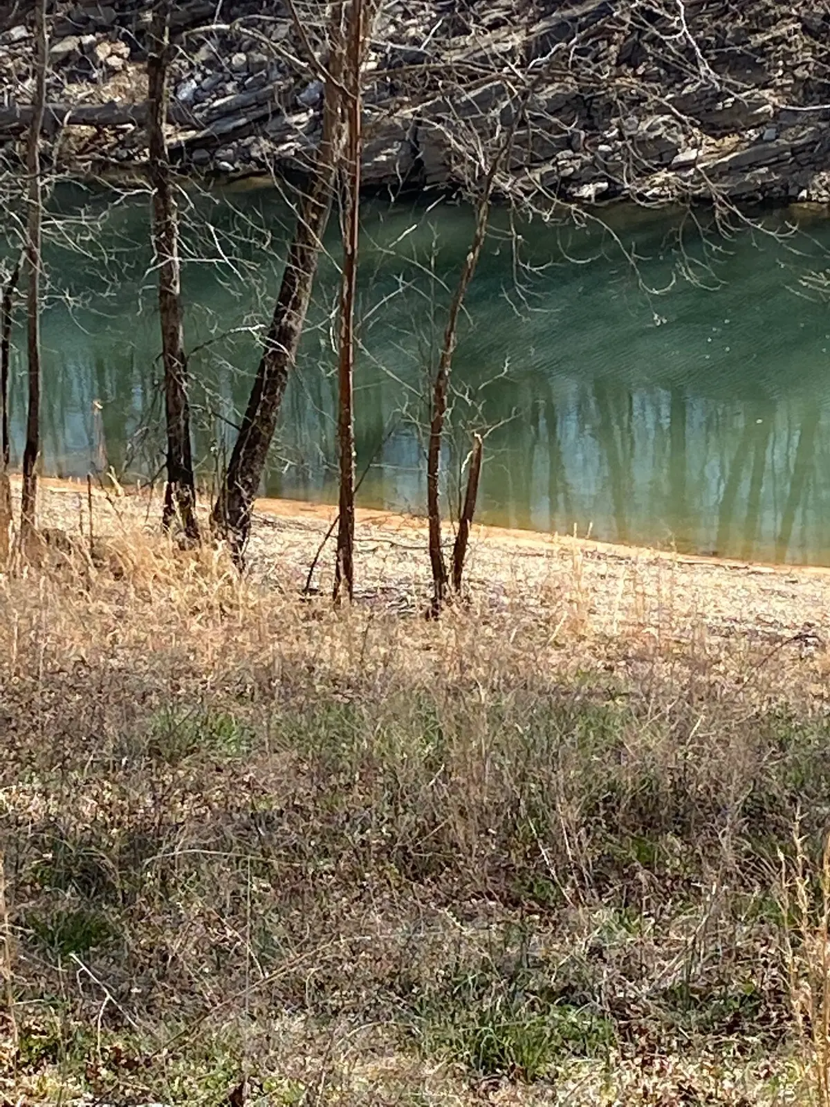 0 Wagon Lane, Speedwell, TN 37870