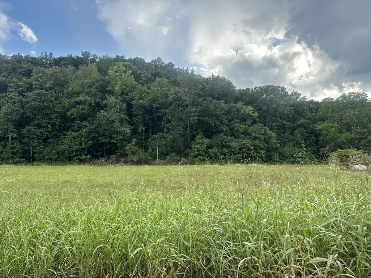 0 Lees Creek Rd, Fayetteville, TN 37334