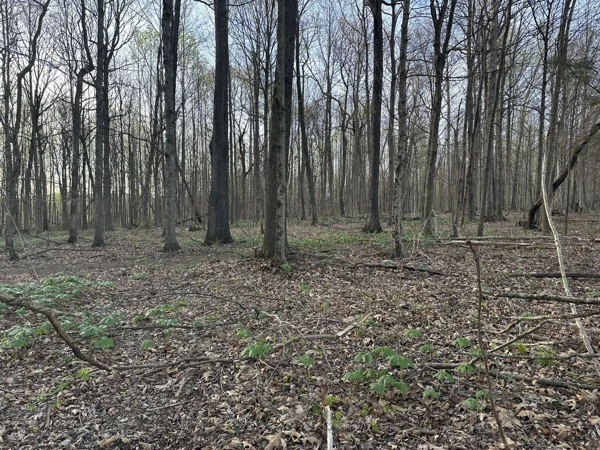 163 White Rd, Portland, TN 37148