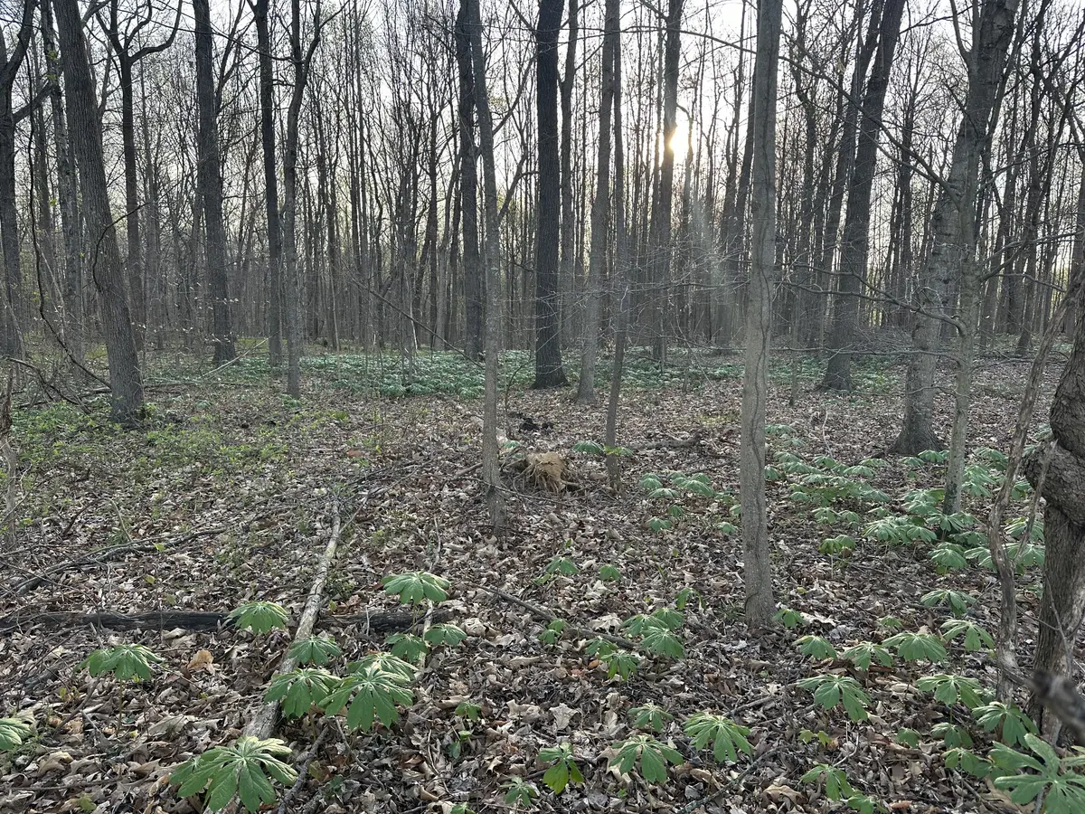 2181 Highway 259, Portland, TN 37148
