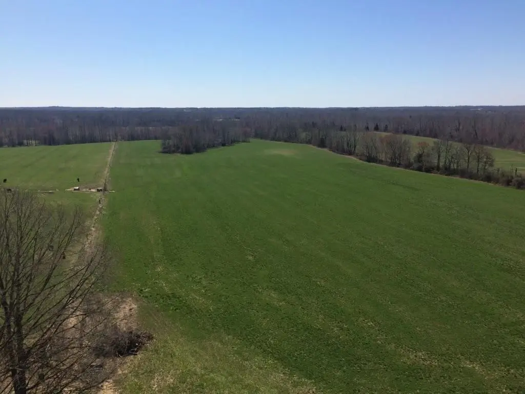 0 Sulphur Creek Rd, Big Sandy, TN 38221