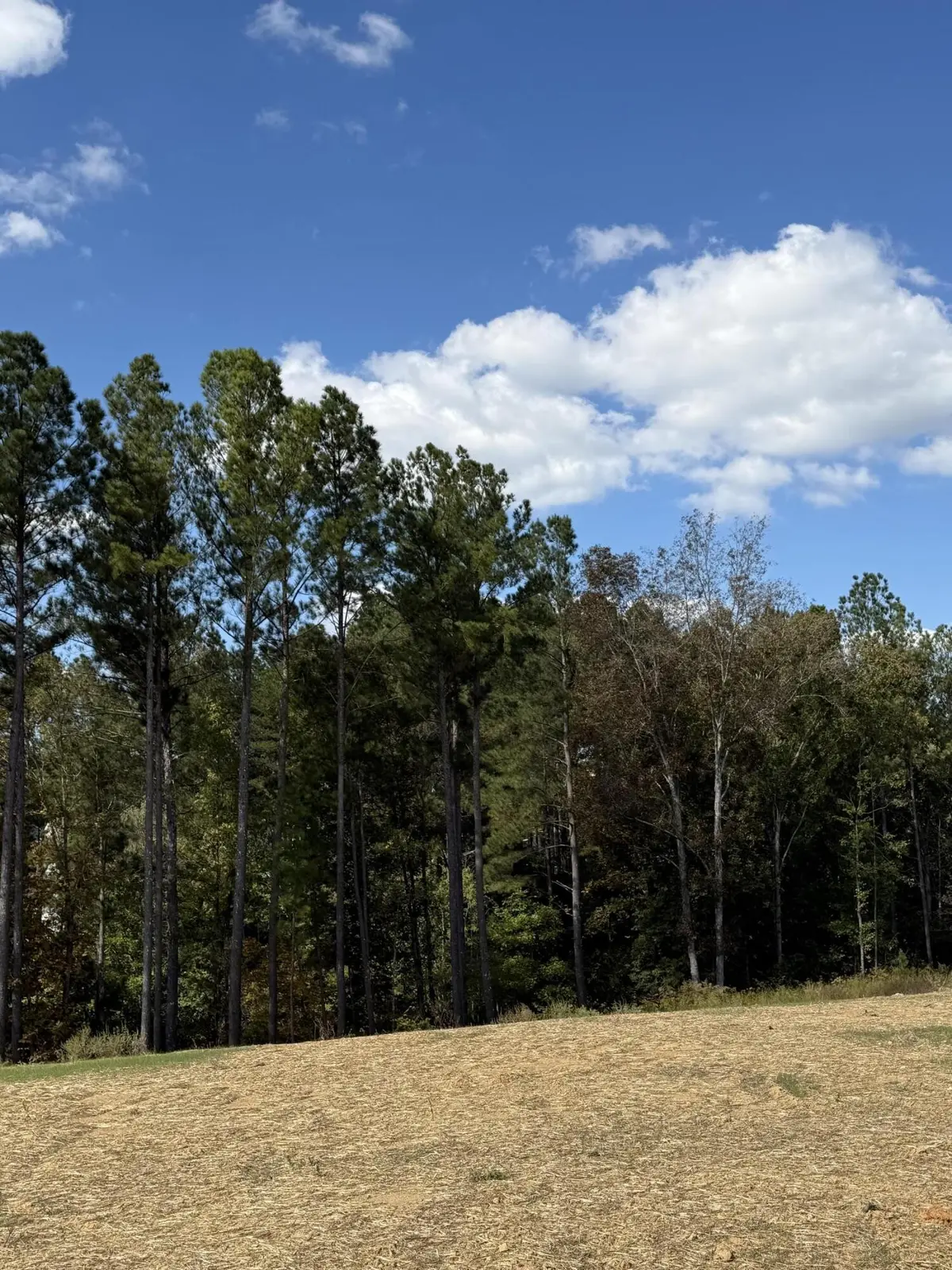 5 Creekwood, Cleveland, TN 37312