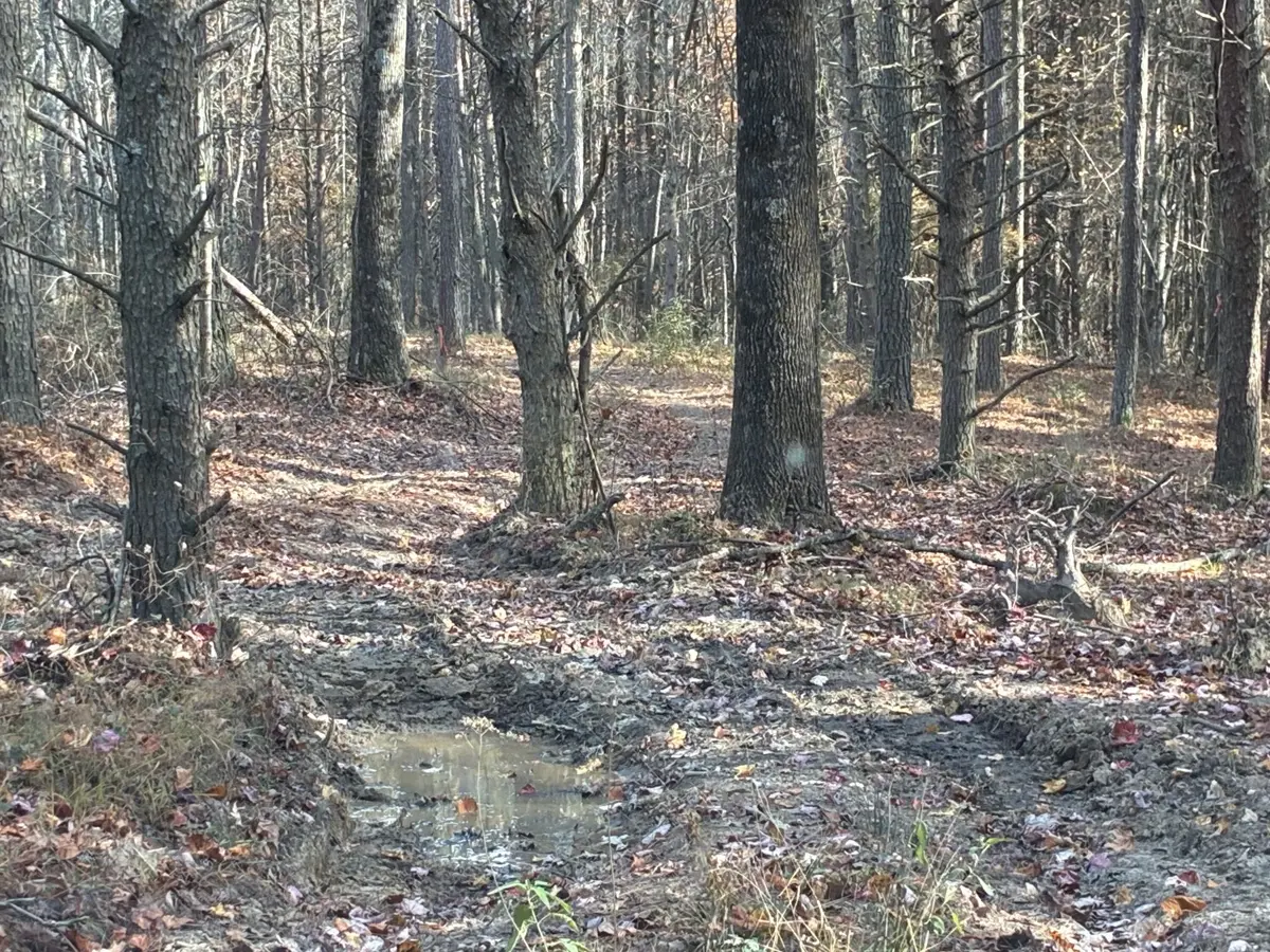 360 Bootleg Bend, Guild, TN 37340