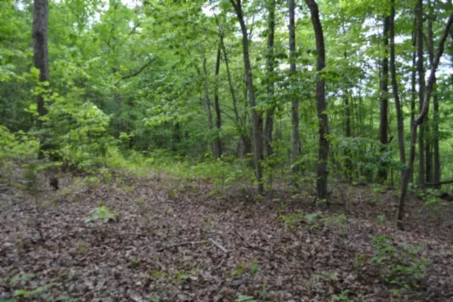 0 Forest Trail Lane, Celina, TN 38551