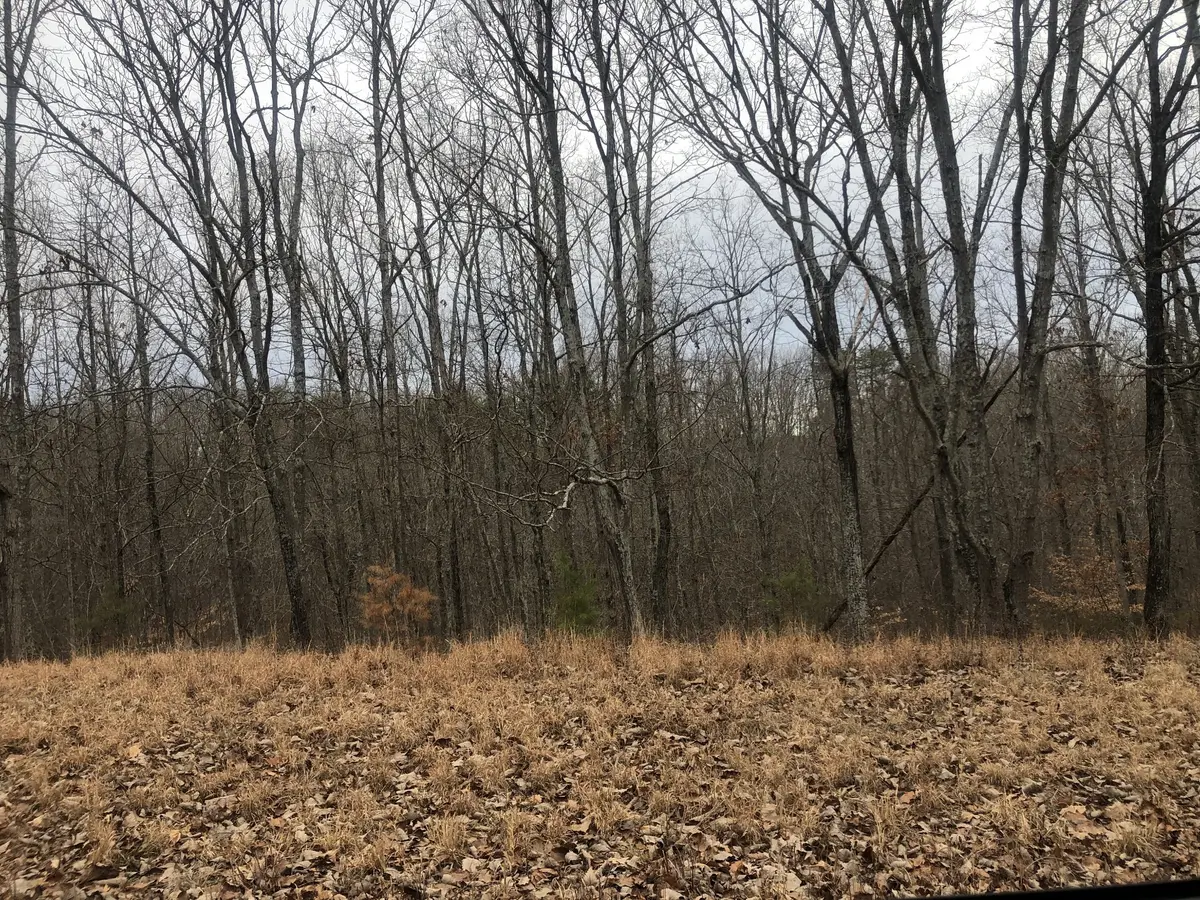 99 Deepwood Dr, Waverly, TN 37185