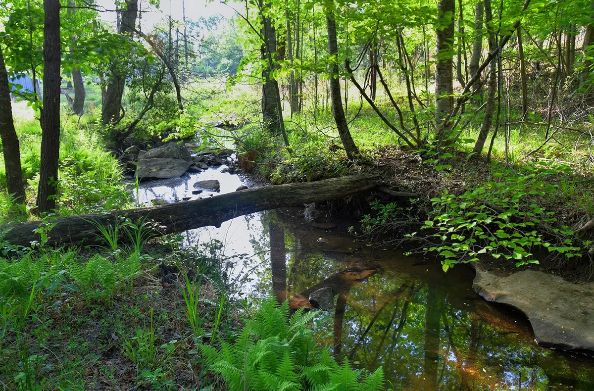 607 Monteagle Falls Rd, Monteagle, TN 37356