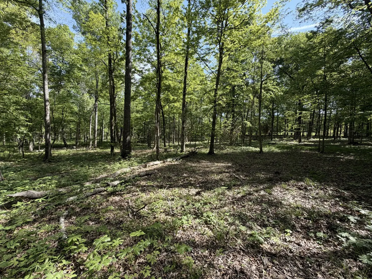 0 Millersburg Road, Christiana, TN 37037