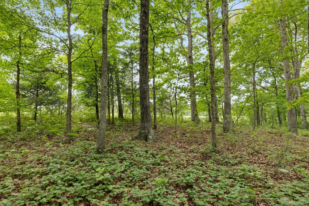 0 Old Number One Rd, Dickson, TN 37055