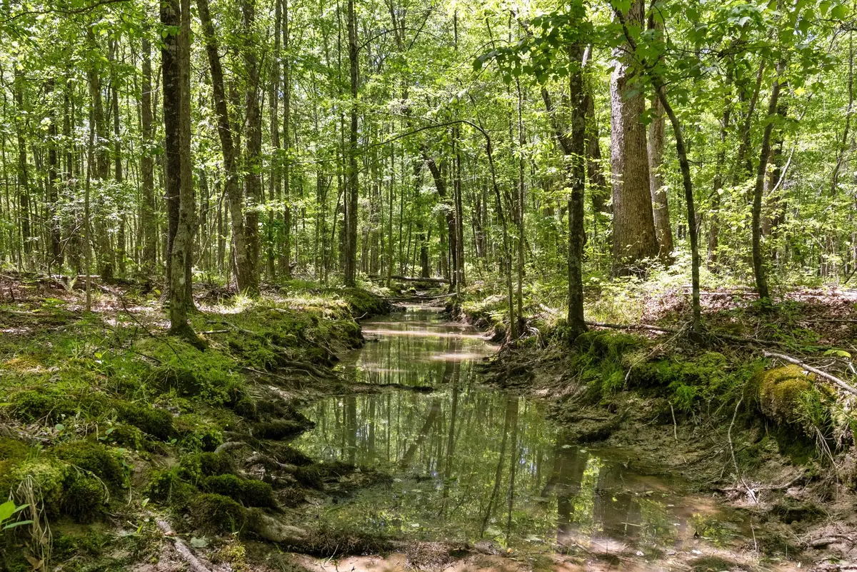 220 Gitty Up Ln, Bradyville, TN 37026