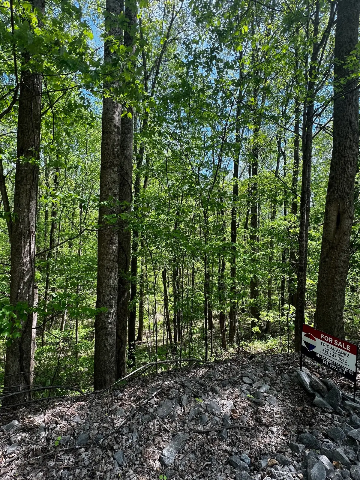 0 Lola Dr, Smithville, TN 37166