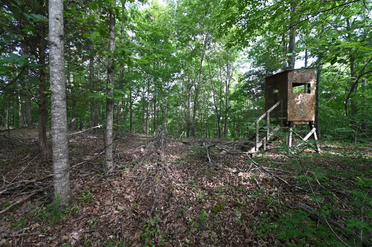 0 Lower Crooked Creek Rd, Lobelville, TN 37097