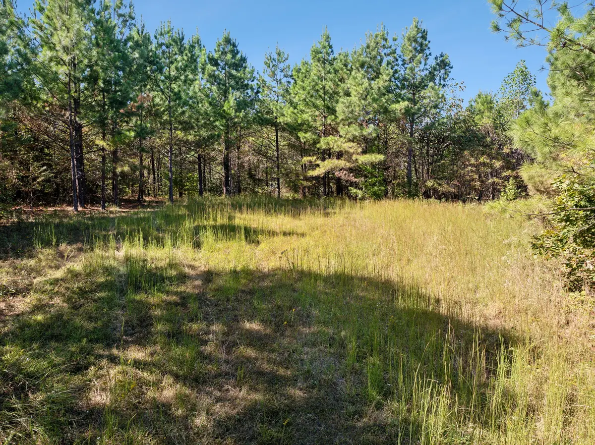 0 Cox Hollow, Dover, TN 37058