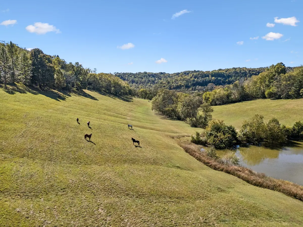 2846 Fuller Hollow Rd, Cornersville, TN 37047