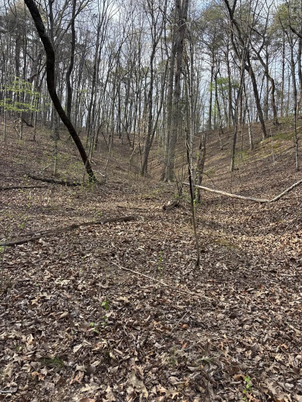 408 Back Valley Road, Sale Creek, TN 37373