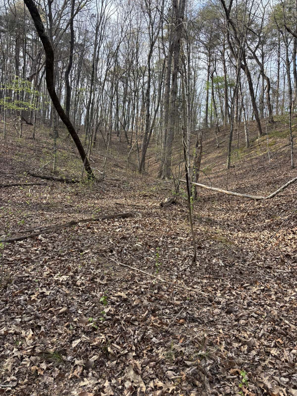 408 Back Valley Road, Sale Creek, TN 37373