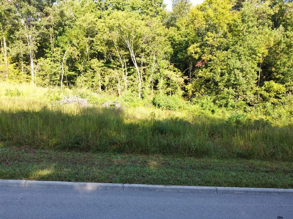 0 Shadows Lawn Drive, Athens, TN 37303