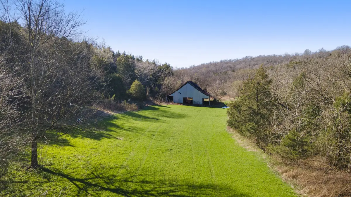 4250 Delina Rd, Cornersville, TN 37047