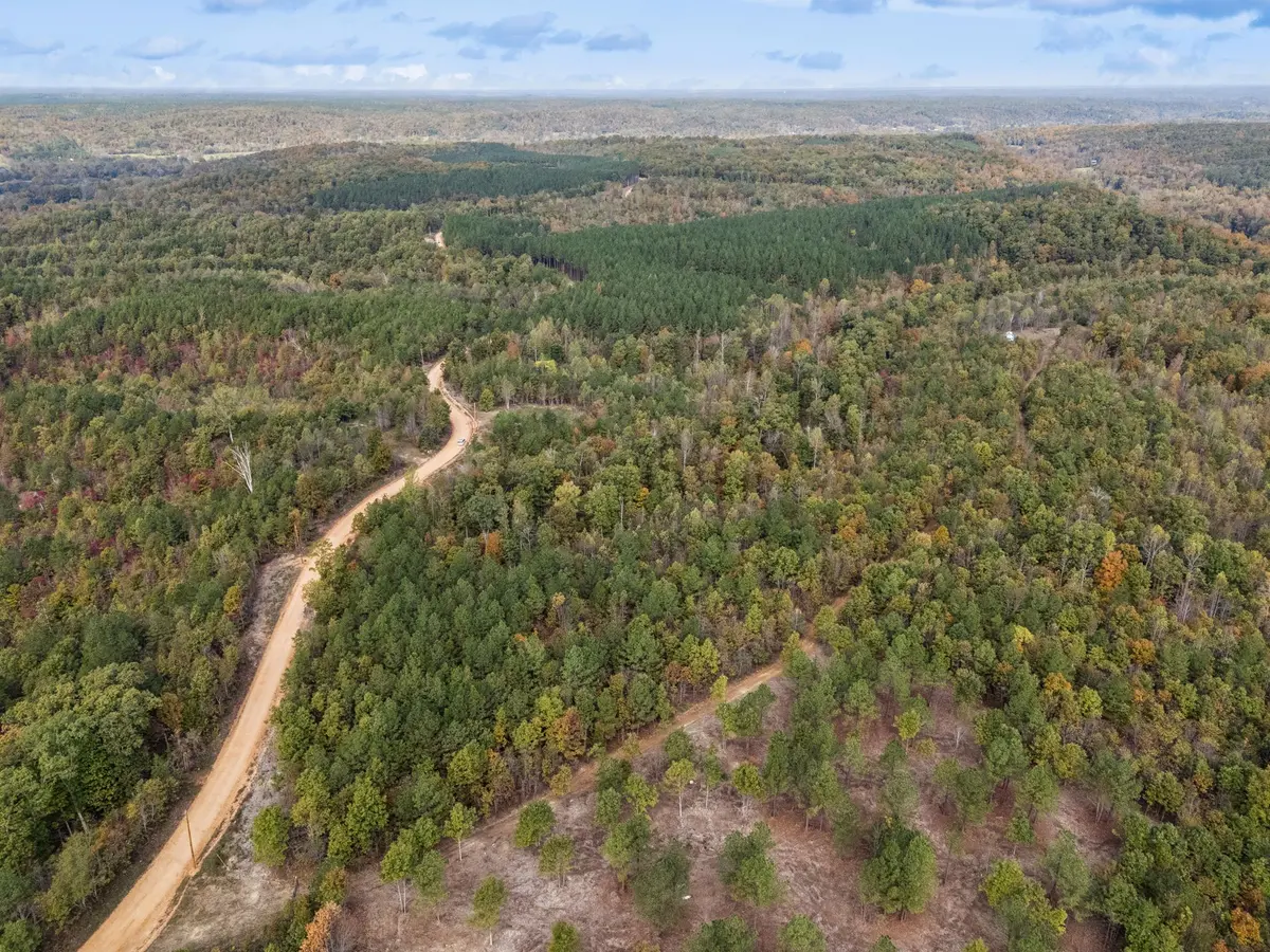 0 Old Mail Road, Duck River, TN 38454
