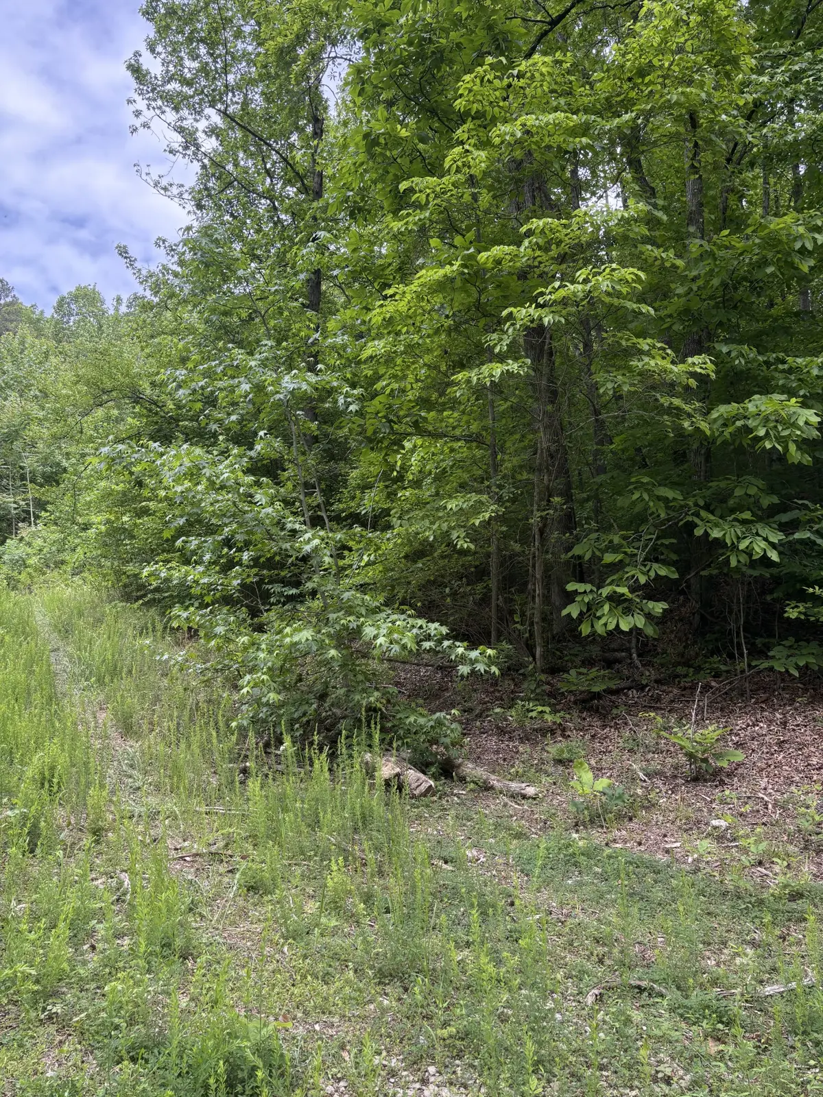 225 Hollow Road, Whitwell, TN 37397
