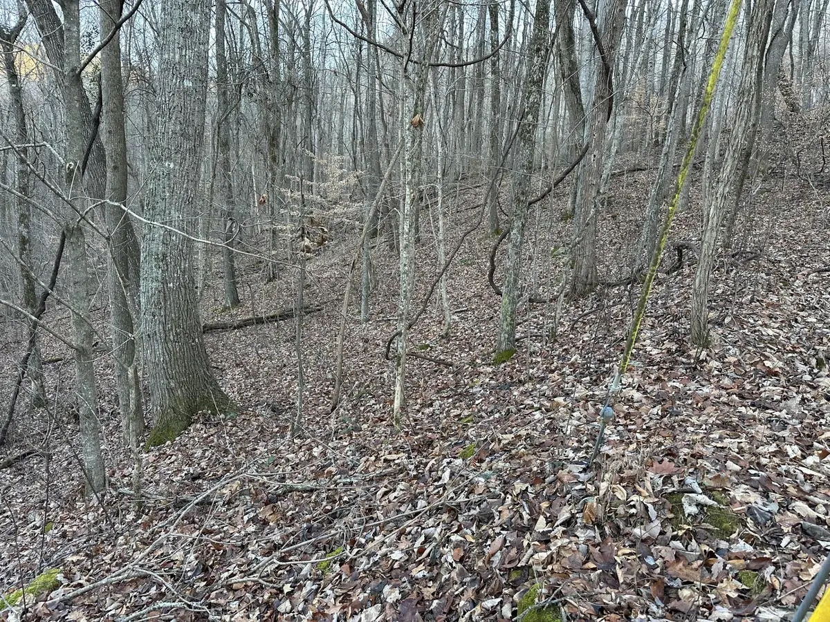 83 Stone Ridge Road, Pikeville, TN 37367