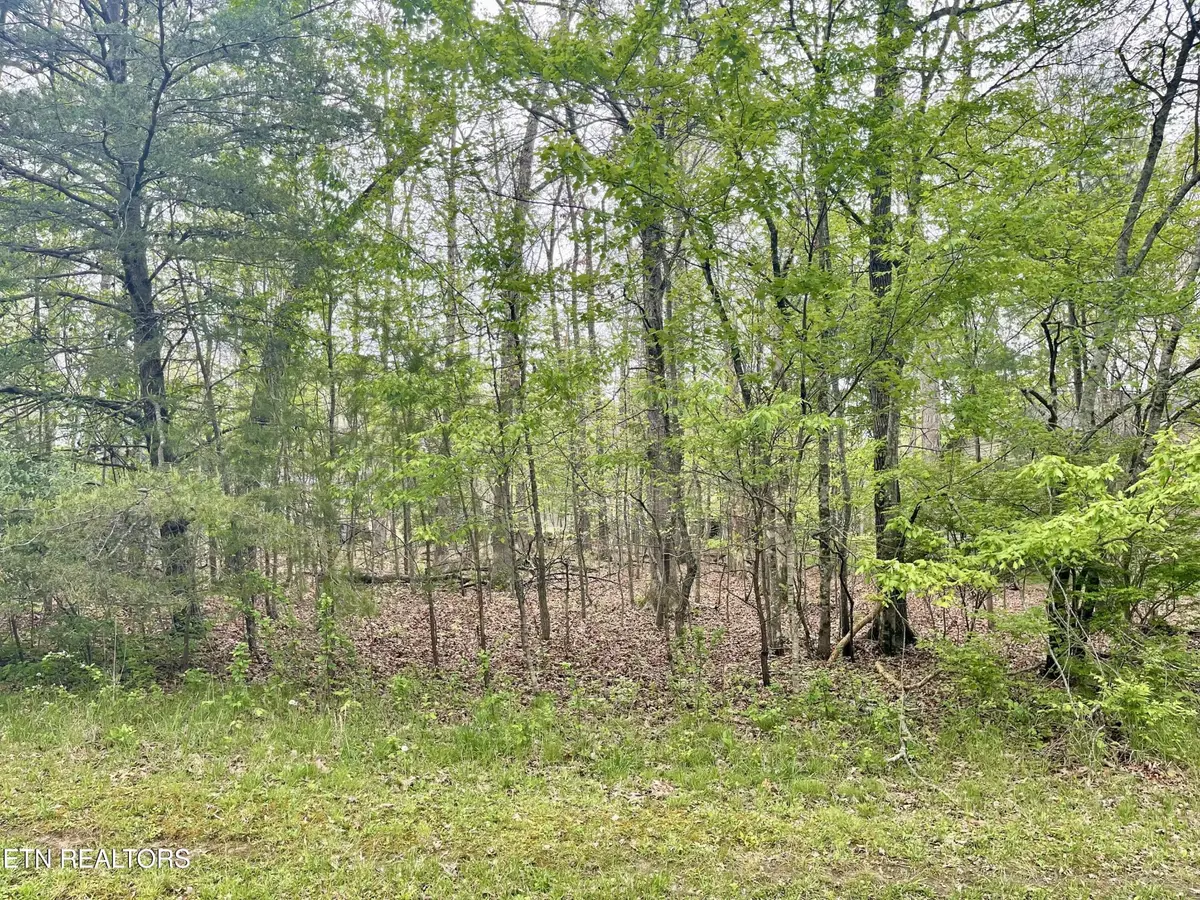 111 Rutgers Circle, Crossville, TN 38558