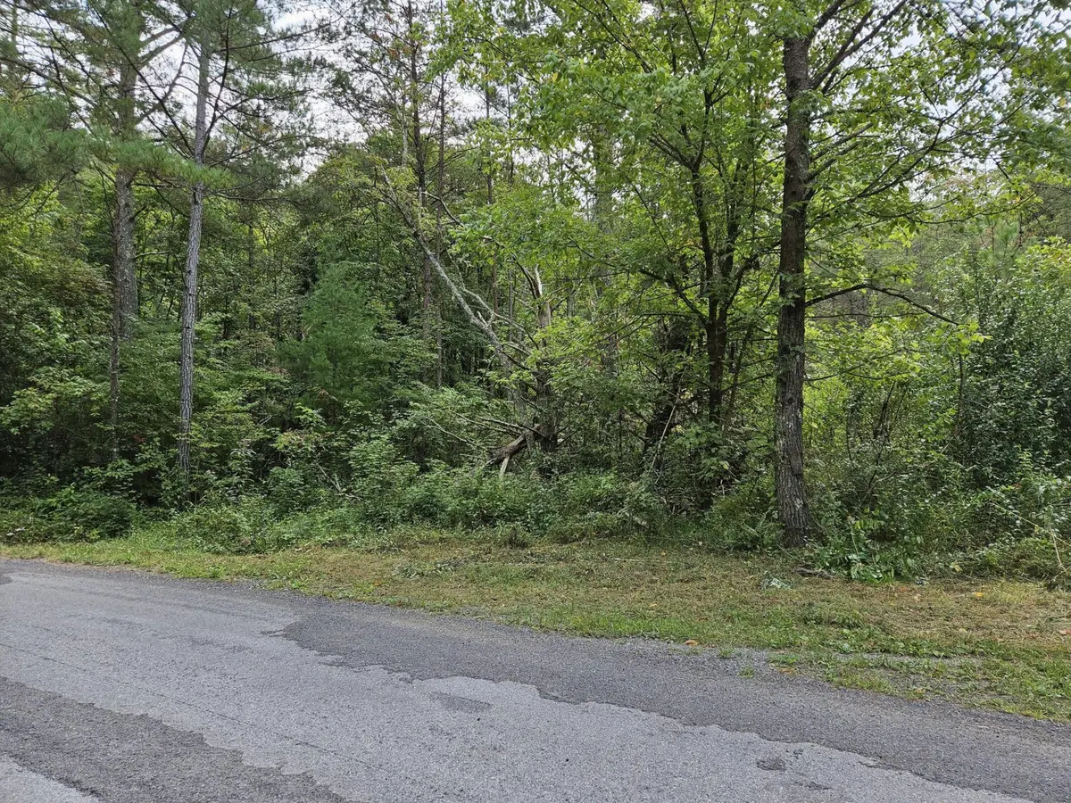 32 Belaire Drive, Copperhill, TN 37317