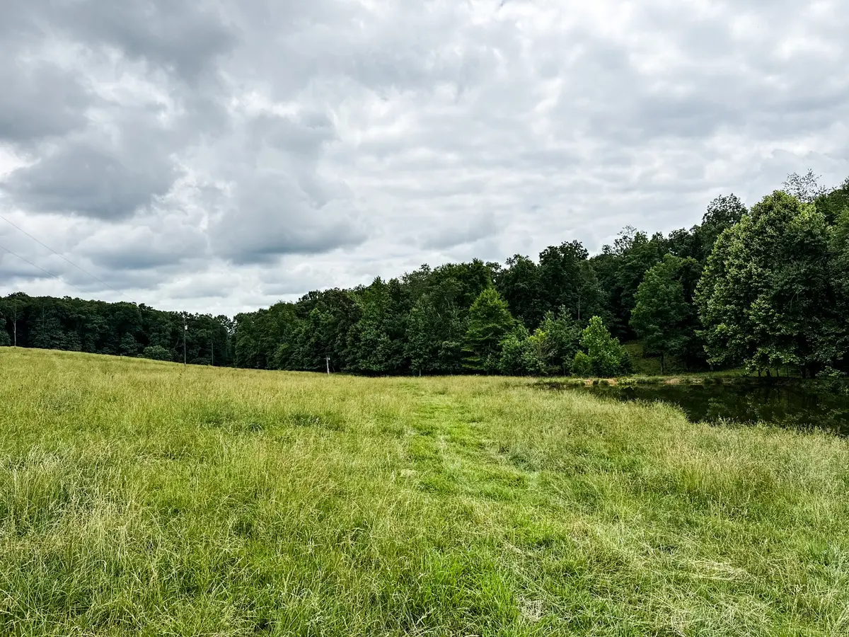 0 David Patterson Rd, Lutts, TN 38471