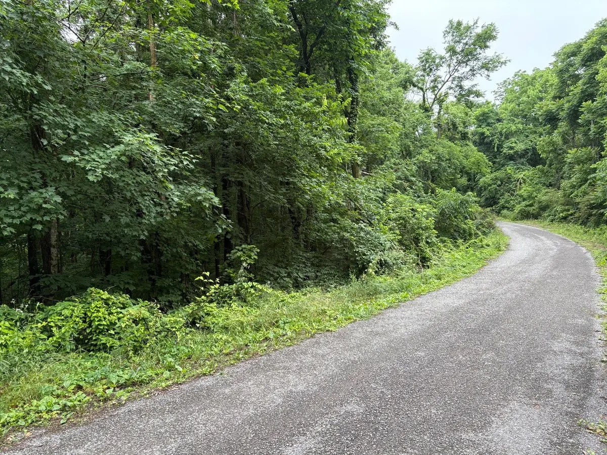 0 Ivy Hollow Rd, Mount Pleasant, TN 38474