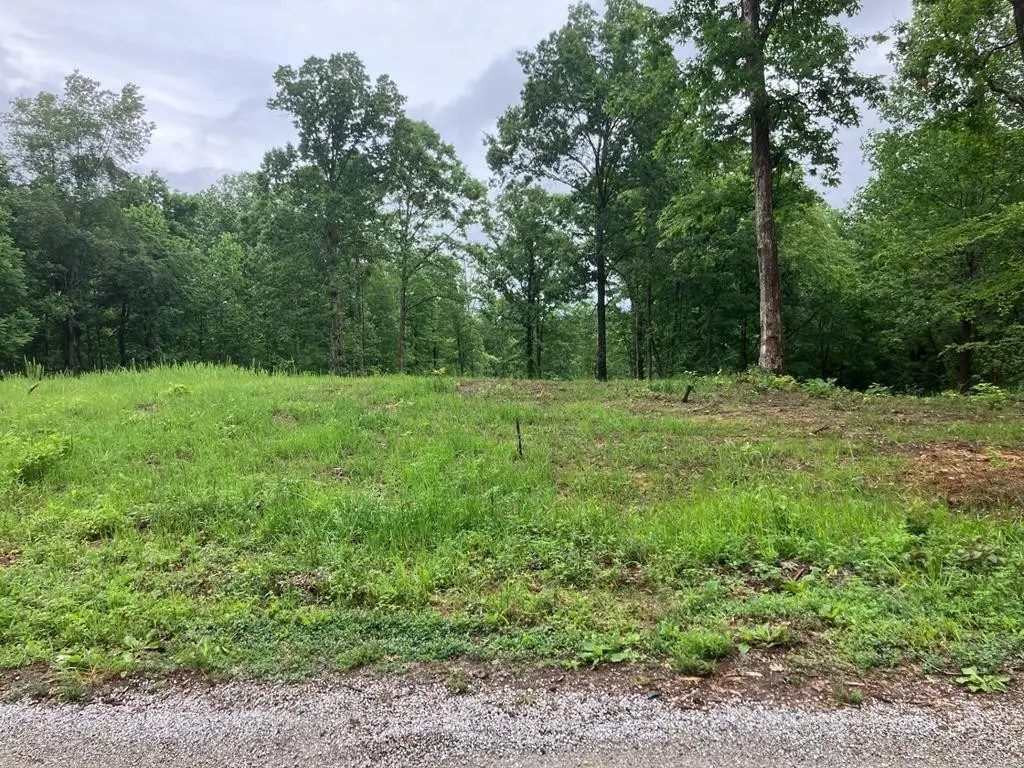 213 Wynn Ferry Rd, Big Sandy, TN 38221