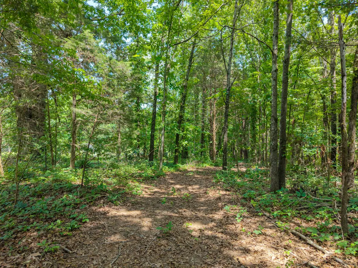 0 Eli Rd, Bon Aqua, TN 37025