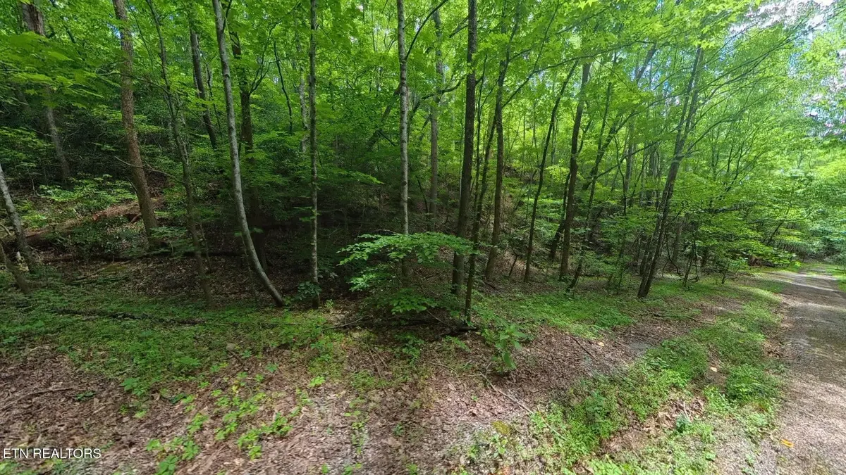 195 Sherwood Lane, Harriman, TN 37748
