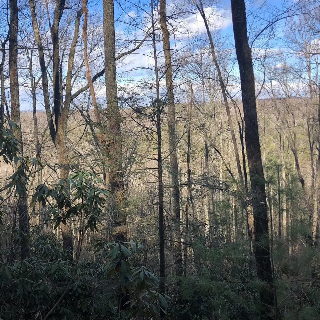 450 Holder Cemetery Road, Tellico Plains, TN 37385