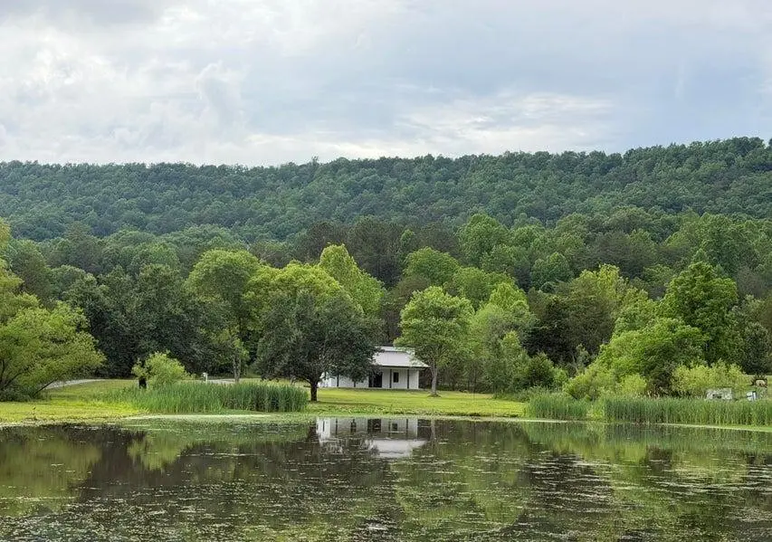 1483 Reagan Valley Road, Tellico Plains, TN 37385