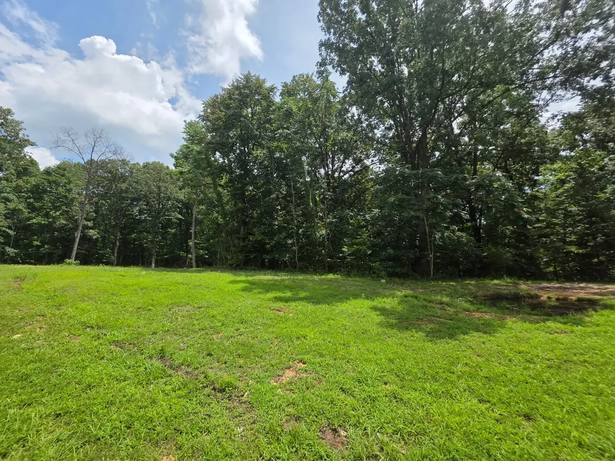 0 Baggett Hollow, Cunningham, TN 37052